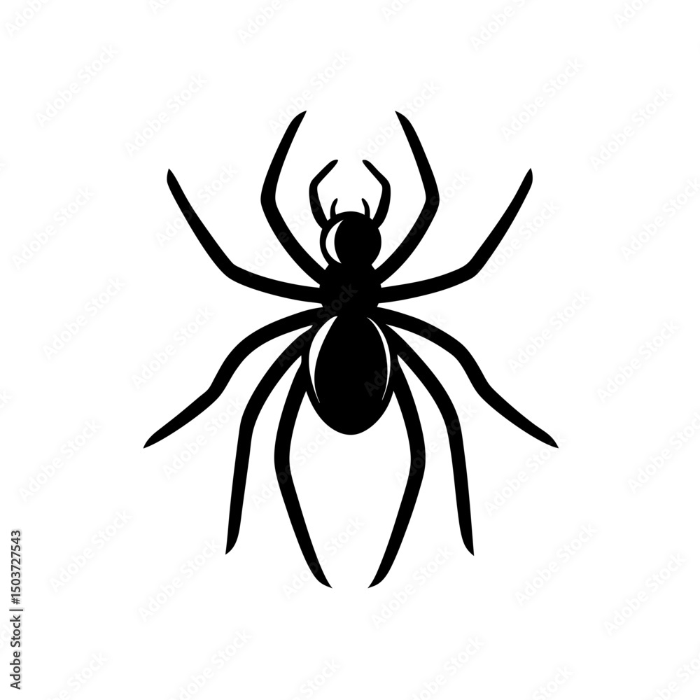 Obraz premium Hairy Tarantula Spider Doodle Vector For A Creepy And Crawly Arachnid