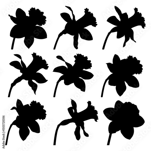 Set of Stylized Daffodil Flower Vector Silhouette on isolated with white background