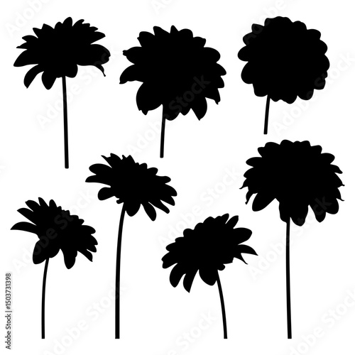 Set of Black silhouette dahlia flower vector different style on isolated with whit background