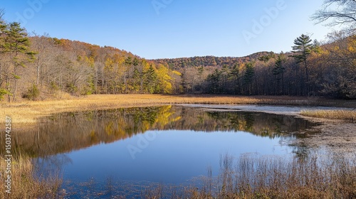 Clear mountain lake reflecting surrounding forest and sky indicating ecosystem harmony