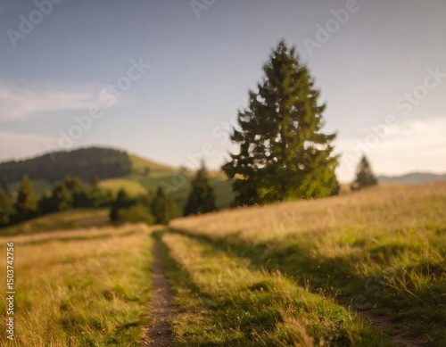 Rural landscape in late summer. Rural landscape with a path, trees and meadows on hills