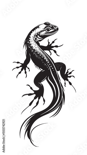 hand drawn silhouette of salamander , black silhouettes isolated on white background