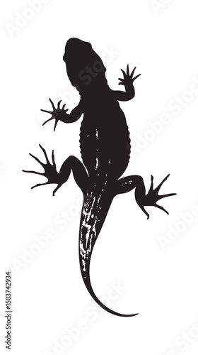 hand drawn silhouette of salamander , black silhouettes isolated on white background