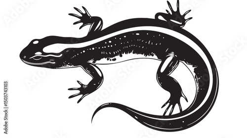hand drawn silhouette of salamander , black silhouettes isolated on white background