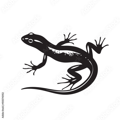 hand drawn silhouette of salamander , black silhouettes isolated on white background