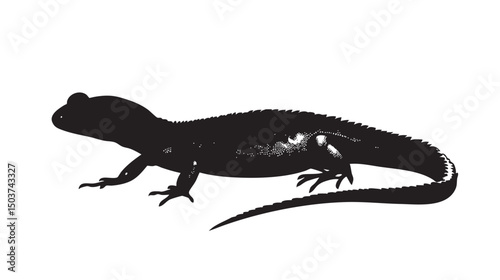 hand drawn silhouette of salamander , black silhouettes isolated on white background