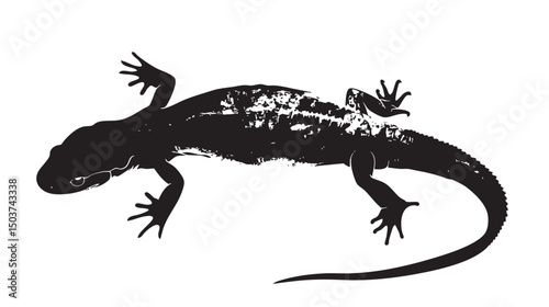 hand drawn silhouette of salamander , black silhouettes isolated on white background