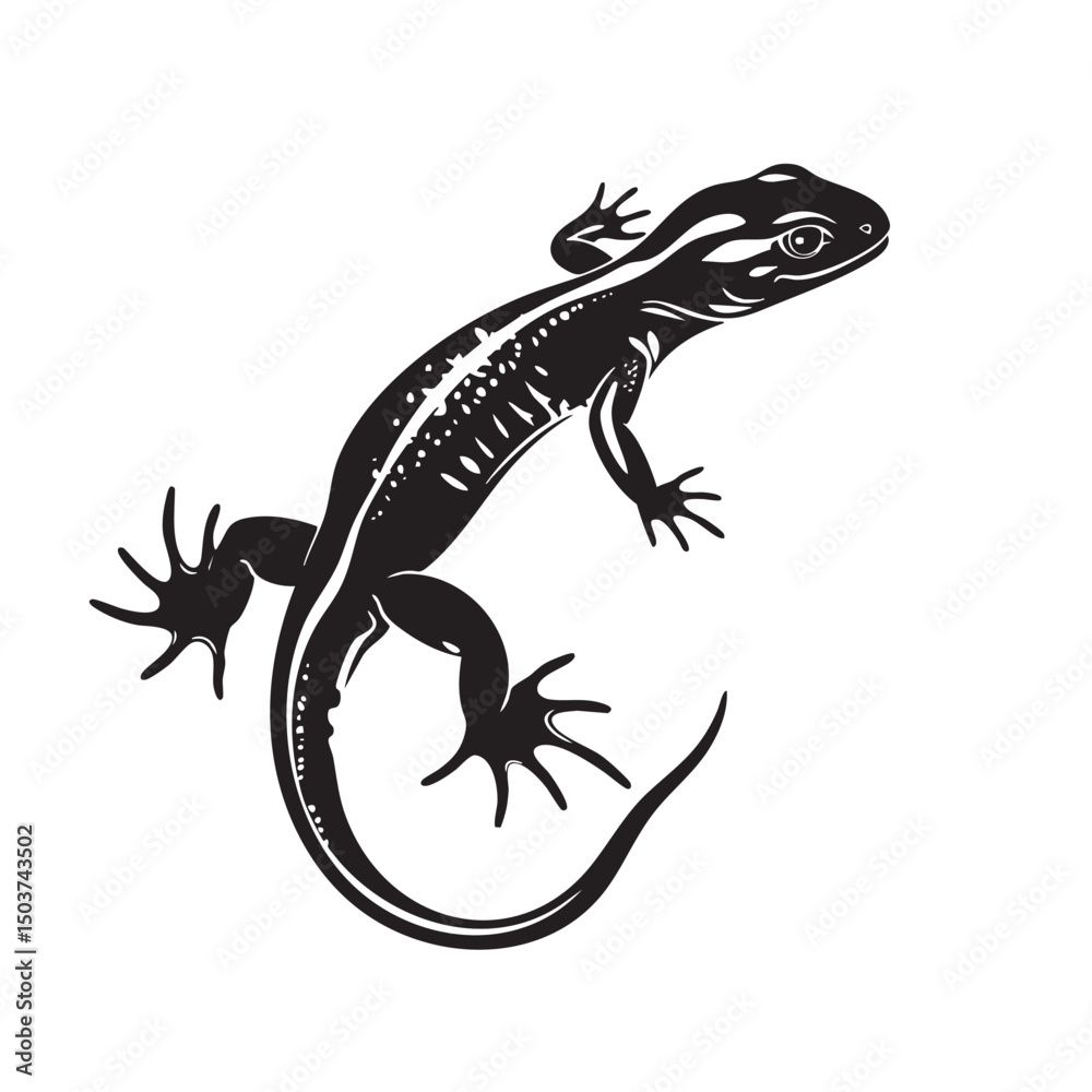 Fototapeta premium hand drawn silhouette of salamander , black silhouettes isolated on white background