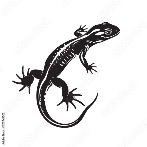 hand drawn silhouette of salamander , black silhouettes isolated on white background