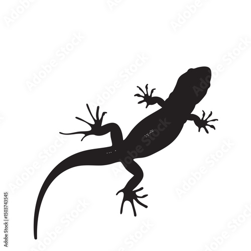 hand drawn silhouette of salamander , black silhouettes isolated on white background