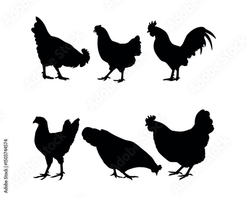 set of vector silhouettes of chicken