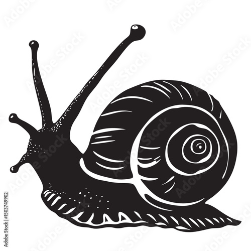 hand drawn silhouette of snail , black silhouettes isolated on white background