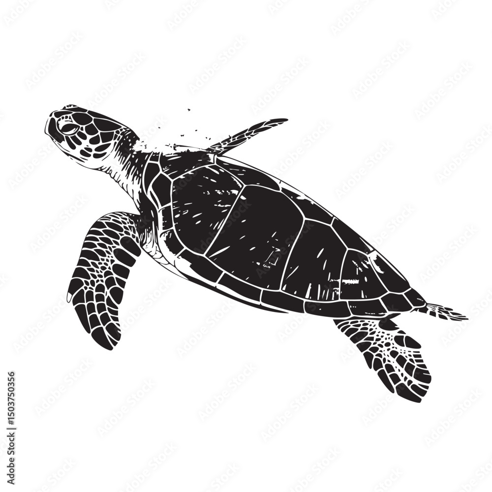 Obraz premium hand drawn silhouette of sea turtle , black silhouettes isolated on white background