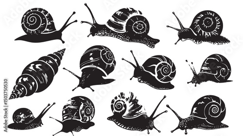 hand drawn silhouette of snail , black silhouettes isolated on white background