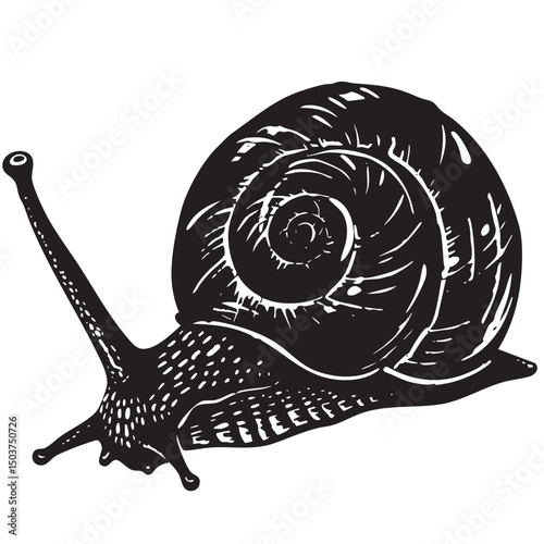 hand drawn silhouette of snail , black silhouettes isolated on white background