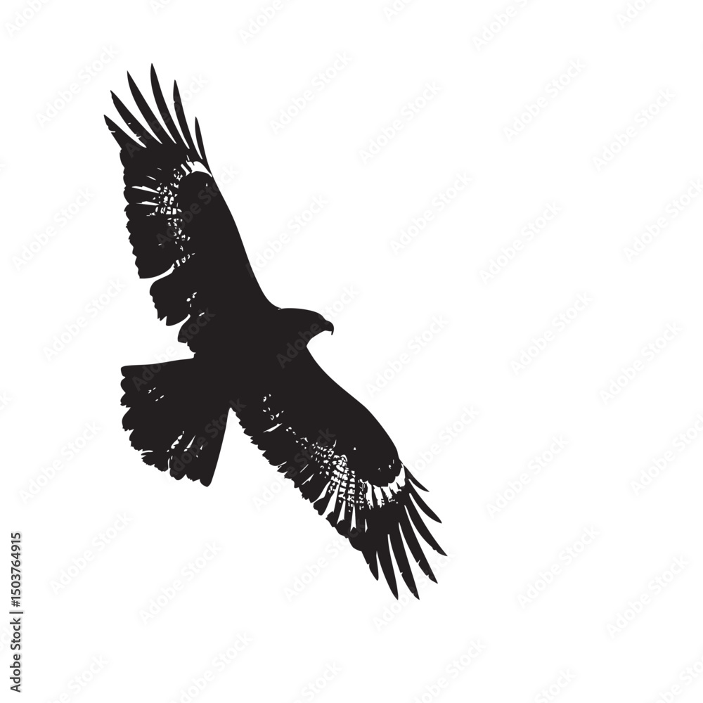 Fototapeta premium Hawks silhouette isolated in White background