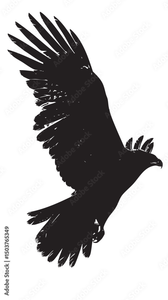 Fototapeta premium Hawks silhouette isolated in White background