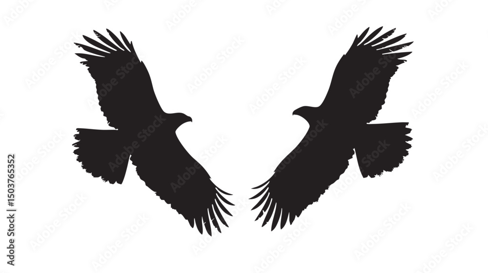 Fototapeta premium Hawks silhouette isolated in White background