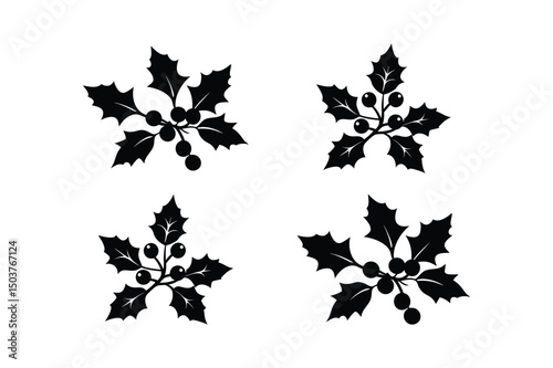 Christmas mistletoe silhouette on white background