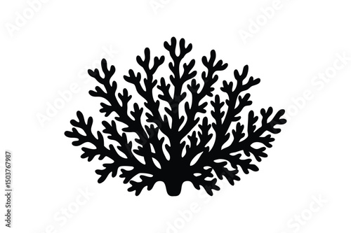 Coral silhouette