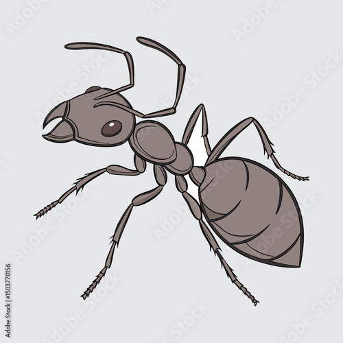 Black Ant