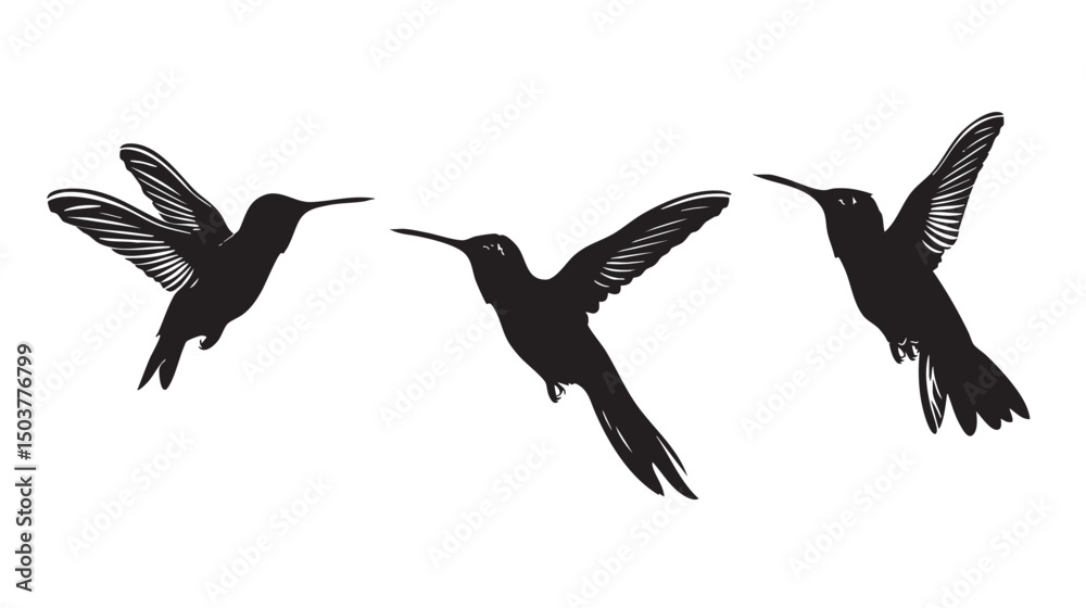 Obraz premium Hummingbirds silhouette isolated in White background