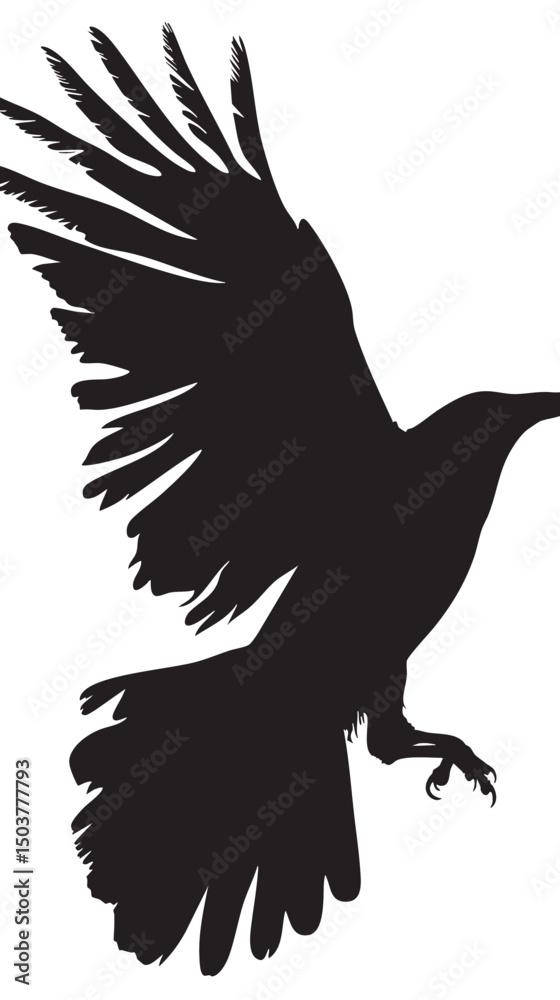 Obraz premium Isolated carrion crow in flight with fully open wings silhouette