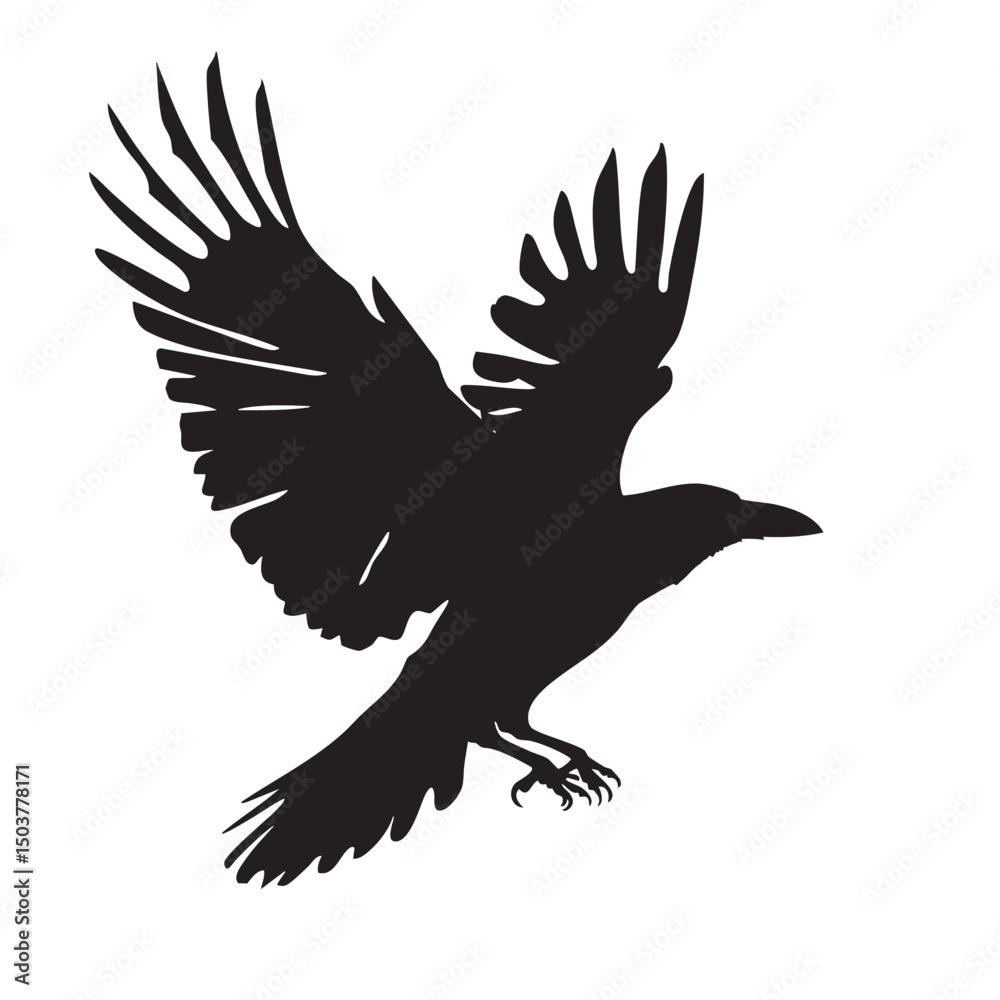 Fototapeta premium Isolated carrion crow in flight with fully open wings silhouette