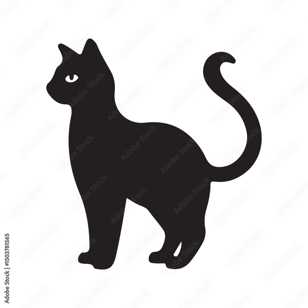 black cat isolated on white background black cat isolated on white background