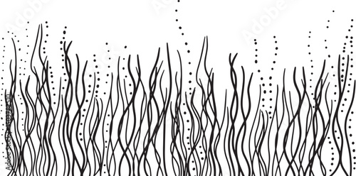 Sea Kelp Line Art | Underwater Marine Coral Illustration for Decorative Design & Invitations Artwork