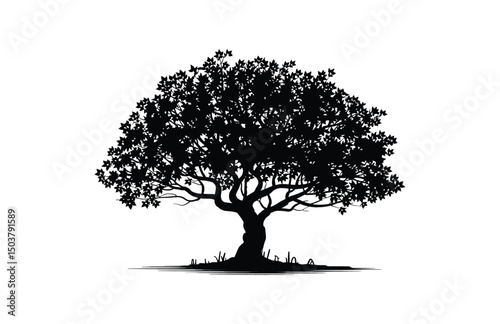 Black silhouette of chestnut tree vector art

