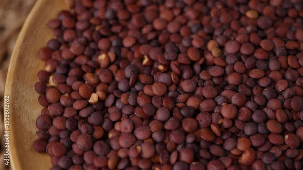 Organic uncooked seeds dark red brown lentils. Organic uncooked seeds dark red brown lentils.