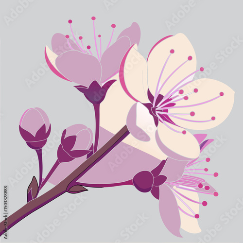 Flower collection