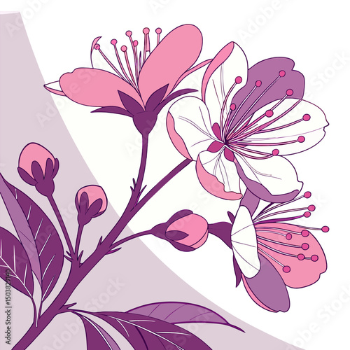 Flower collection