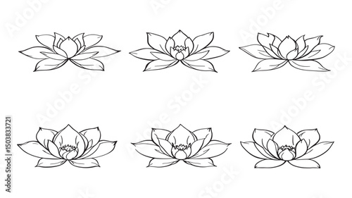 Beautiful Lotus Flower Symbol Of Purity