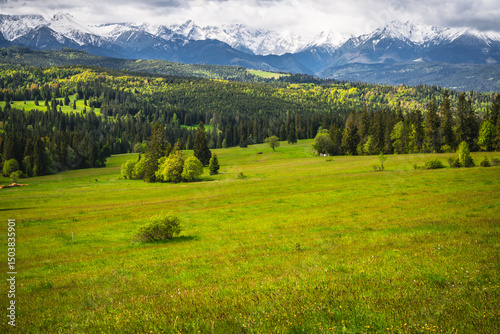 Fototapeta Naklejka Na Ścianę i Meble -  View from the Pass over Łapszanka in Poland