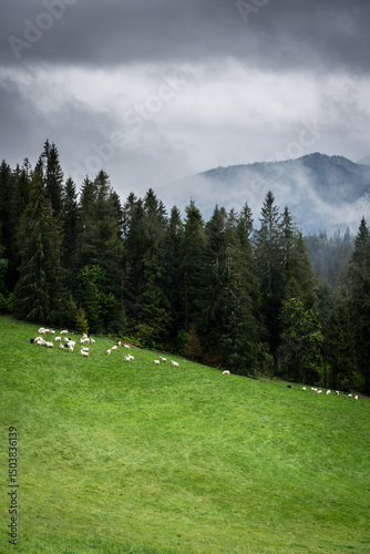 Fototapeta Naklejka Na Ścianę i Meble -  mountain landscape with clouds