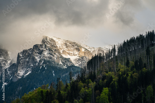Fototapeta Naklejka Na Ścianę i Meble -  View on the Tatra Mounains in Poland