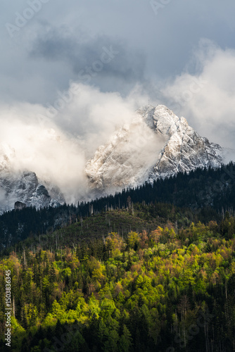 Fototapeta Naklejka Na Ścianę i Meble -  View on the Tatra Mounains in Poland
