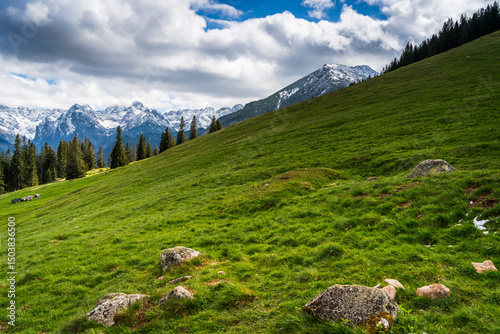 Fototapeta Naklejka Na Ścianę i Meble -  Rusinowa Polana in the Polish Tatra Mountains