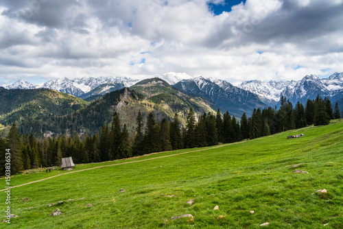 Fototapeta Naklejka Na Ścianę i Meble -  Rusinowa Polana in the Polish Tatra Mountains