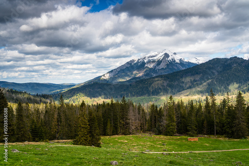 Fototapeta Naklejka Na Ścianę i Meble -  Rusinowa Polana in the Polish Tatra Mountains