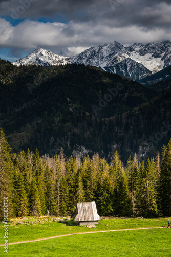 Fototapeta Naklejka Na Ścianę i Meble -  Rusinowa Polana in the Polish Tatra Mountains