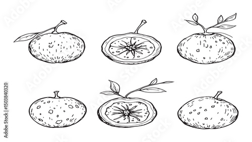 Passion Fruits With Leaves Illustration