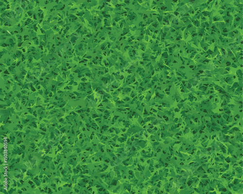 vector green grass background 