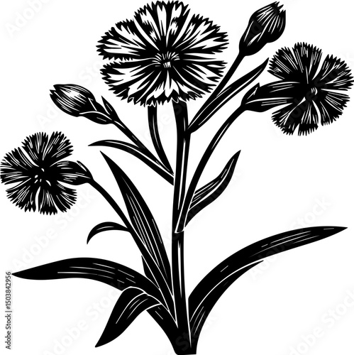 SVG illustration of roadside flowers.Elegant Black and White Floral Design with Stylized Flowers