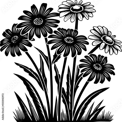 SVG illustration of roadside flowers.Black and White Illustration of Bright Daisy Flower Bouquet