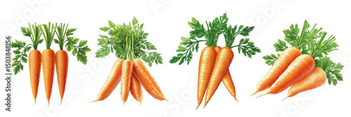 Collection of beautifully illustrated fresh carrots with green tops, showcasing different shapes and arrangements, on a white background