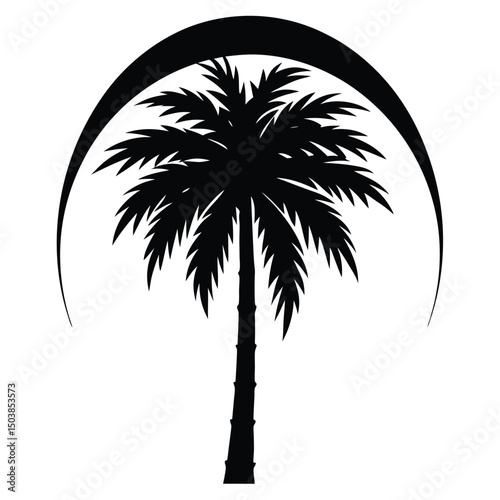 a single tall palm tree against a colorful gradien