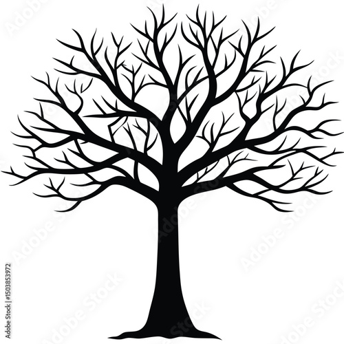 a solitary tree with an uneven trunk and wild bran